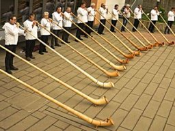 2e1ax_greenie_entry_alphorn_1